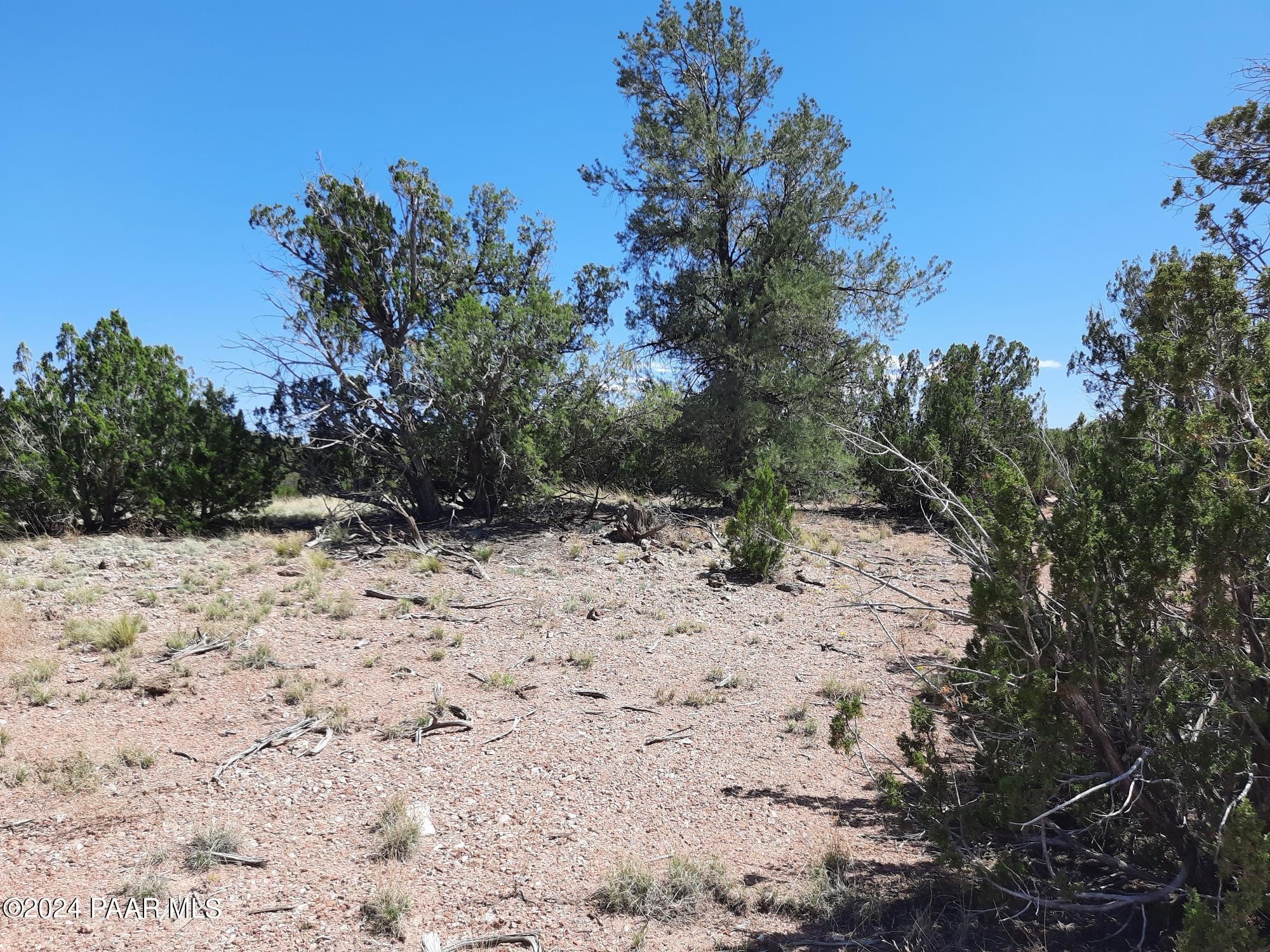 12. Lot 685 W Medicine Man Trail