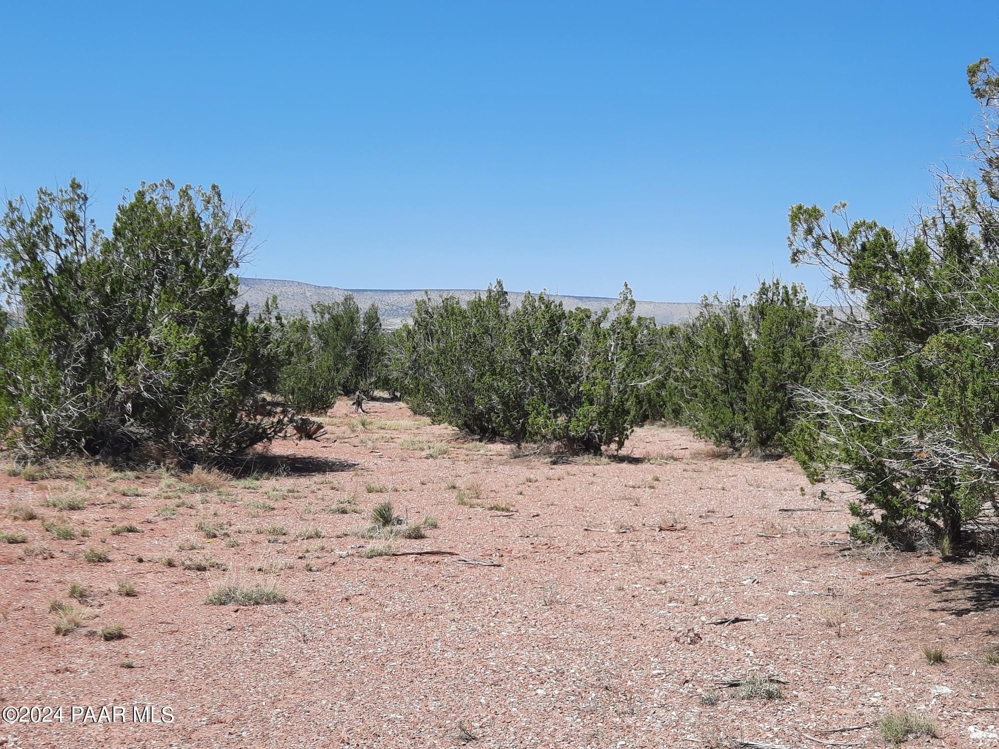 14. Lot 685 W Medicine Man Trail