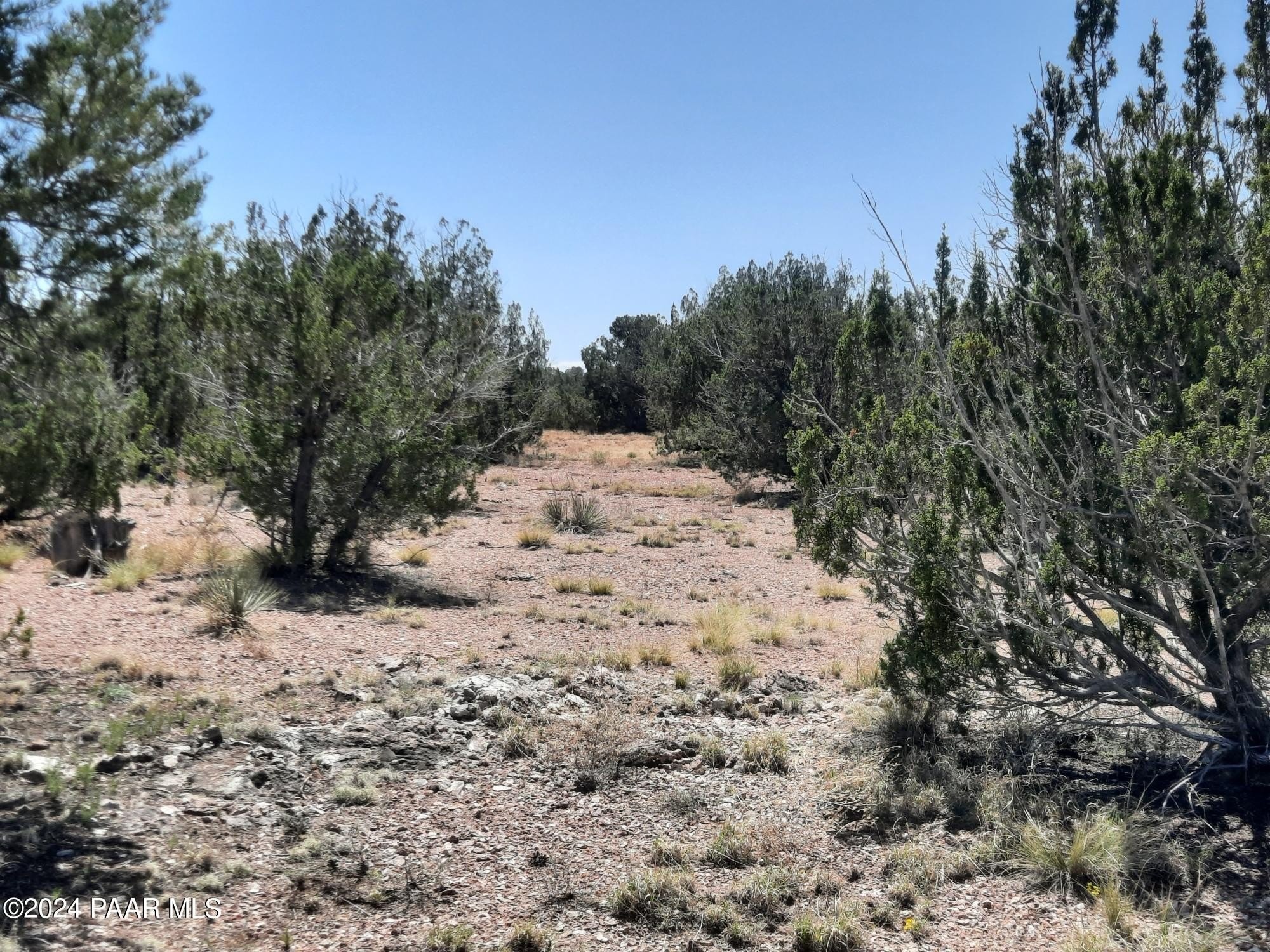 7. Lot 685 W Medicine Man Trail