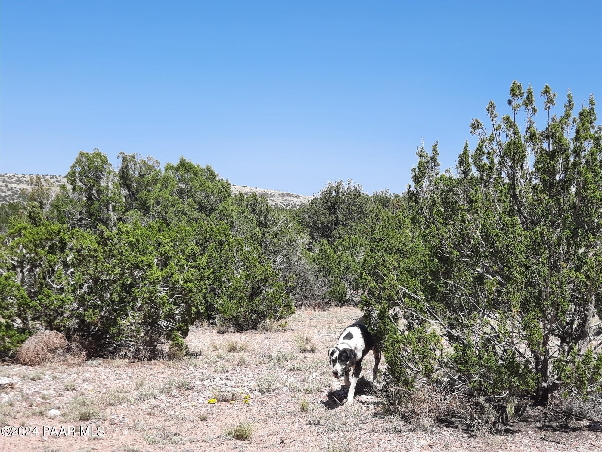 10. Lot 685 W Medicine Man Trail