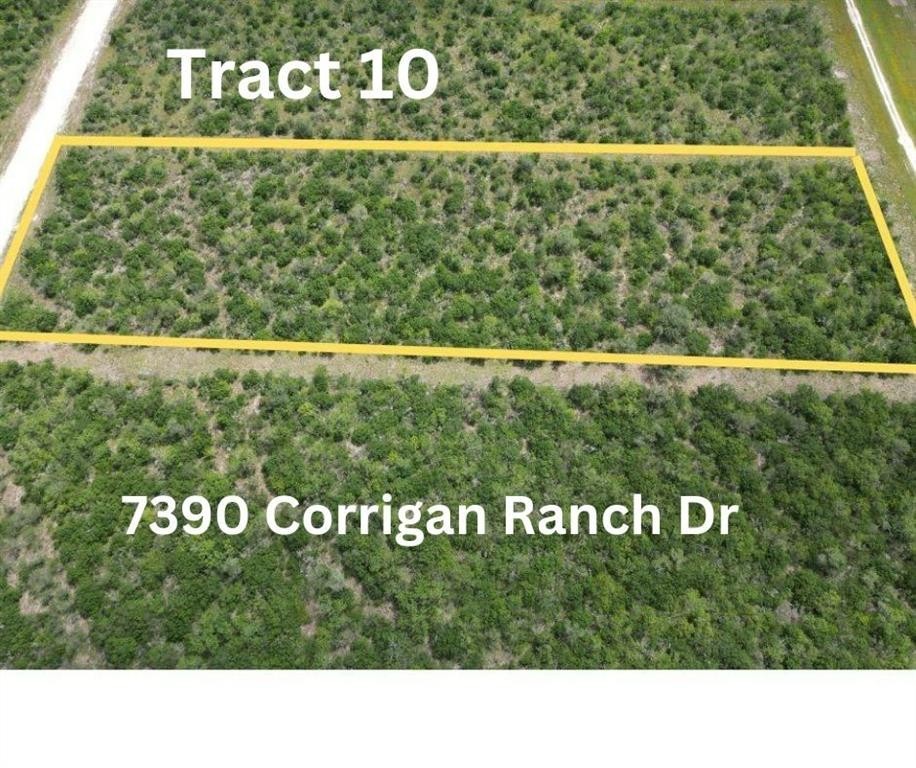 1. 7390 Corrigan Ranch Drive- Tract 10