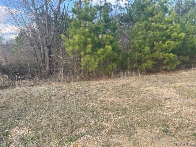 1. Lot 1 Mossy Creek Drive