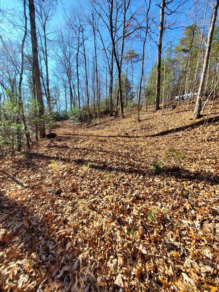 2. Mountain Meadow Circle