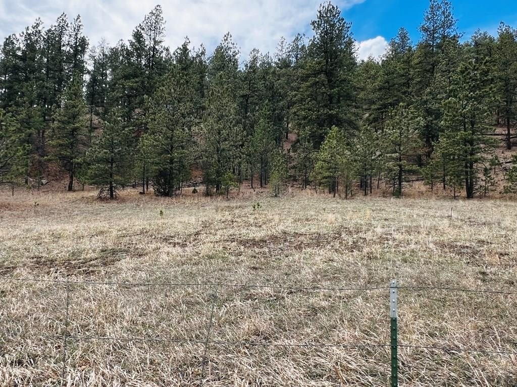 1. Lot 36 Logging Canyon Rd