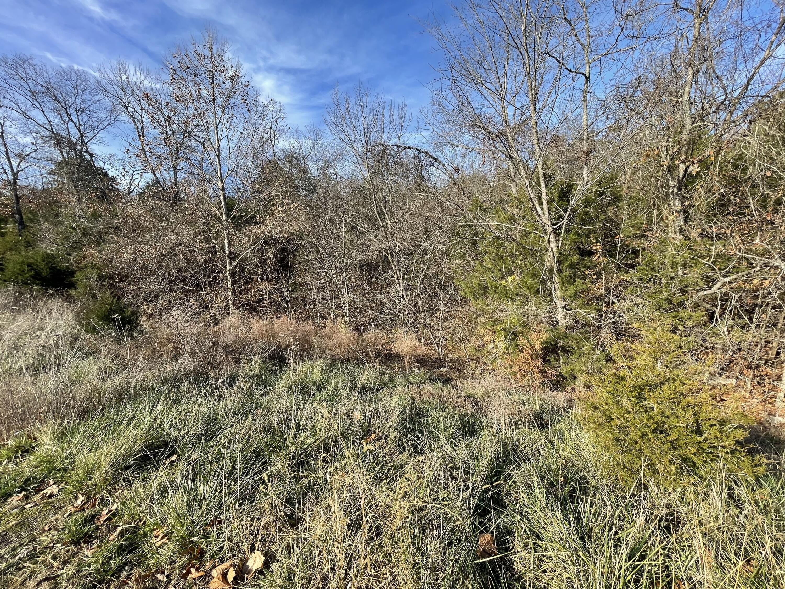 4. Lot 206 Black Forest Lane