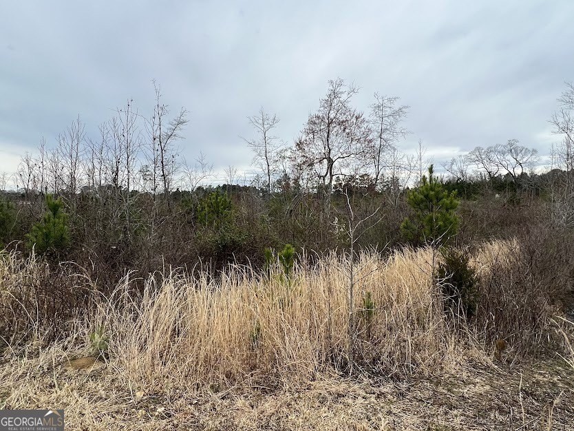 4. 000 Folds Rd (Tract D-22.67acres)