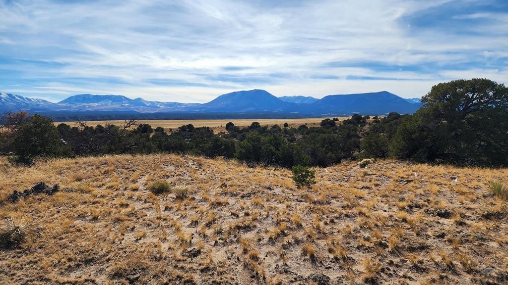 1. Lot 36 Colorado Land And Grazing