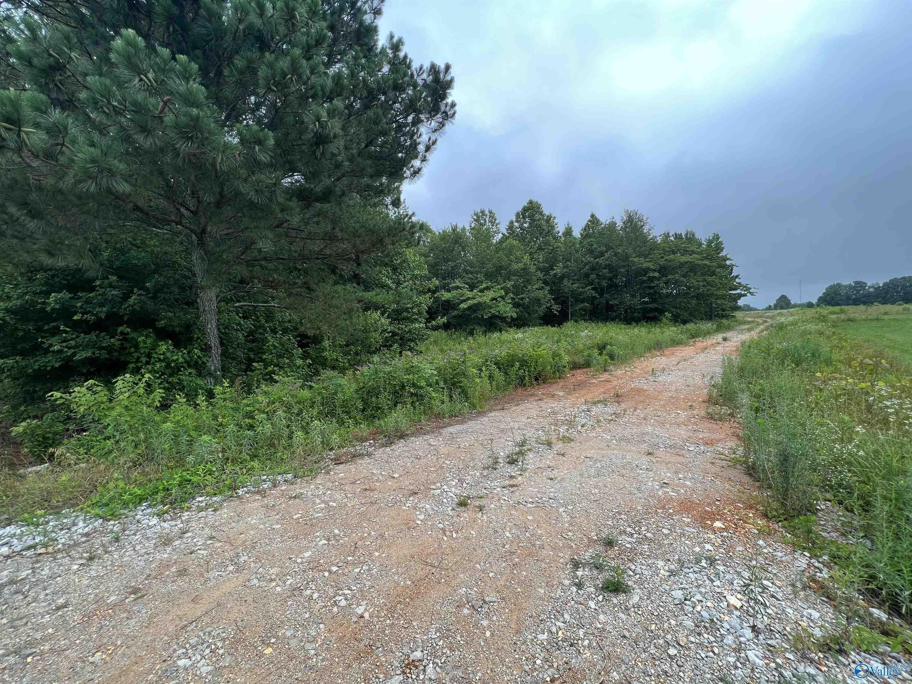 2. 14 Acres Ready Section Road