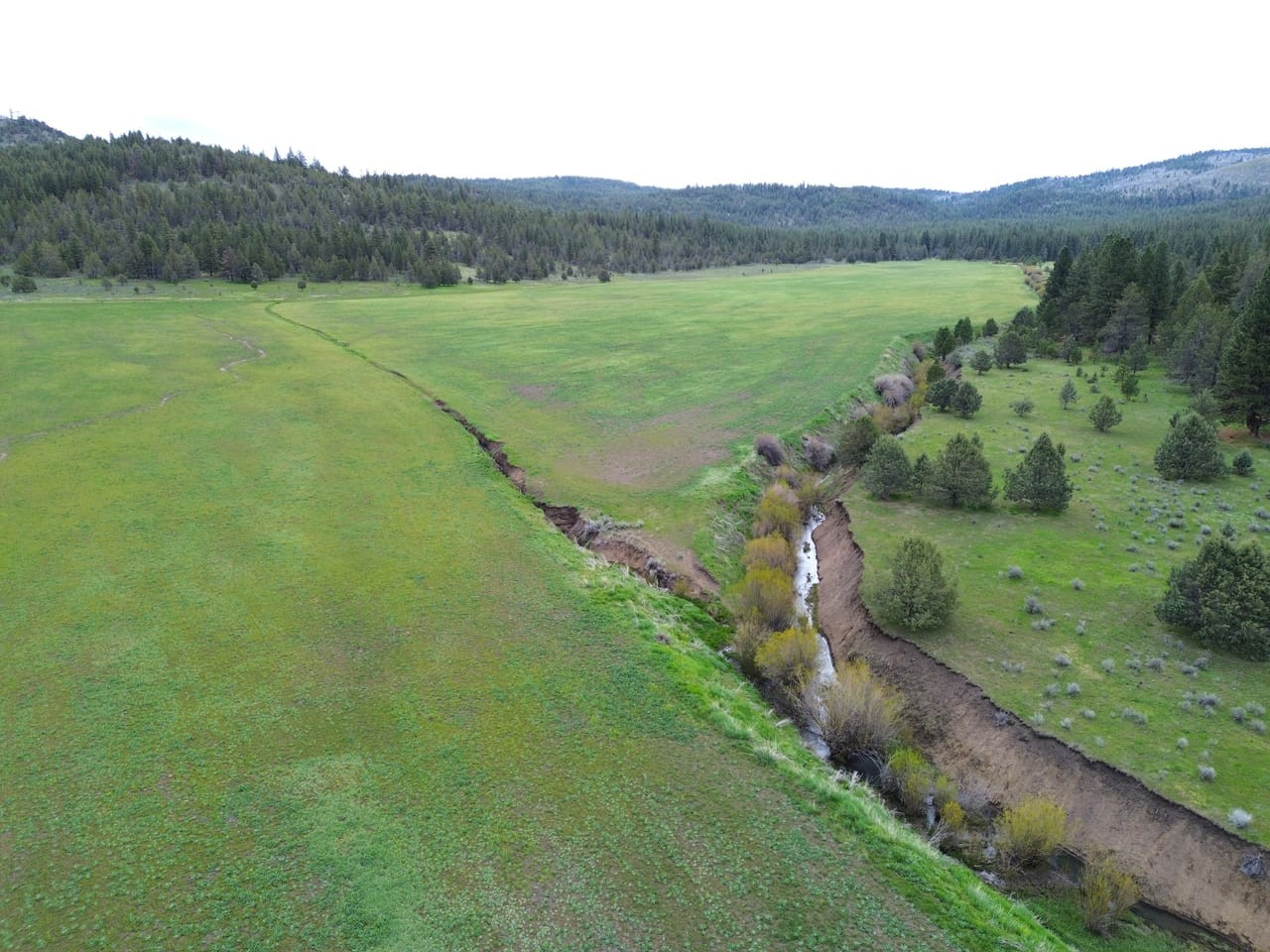 1. 0000 Stone Coal Canyon Road