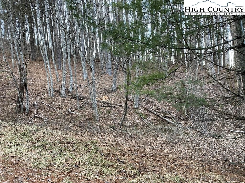 2. Lot 55 Laurel Mountain Drive