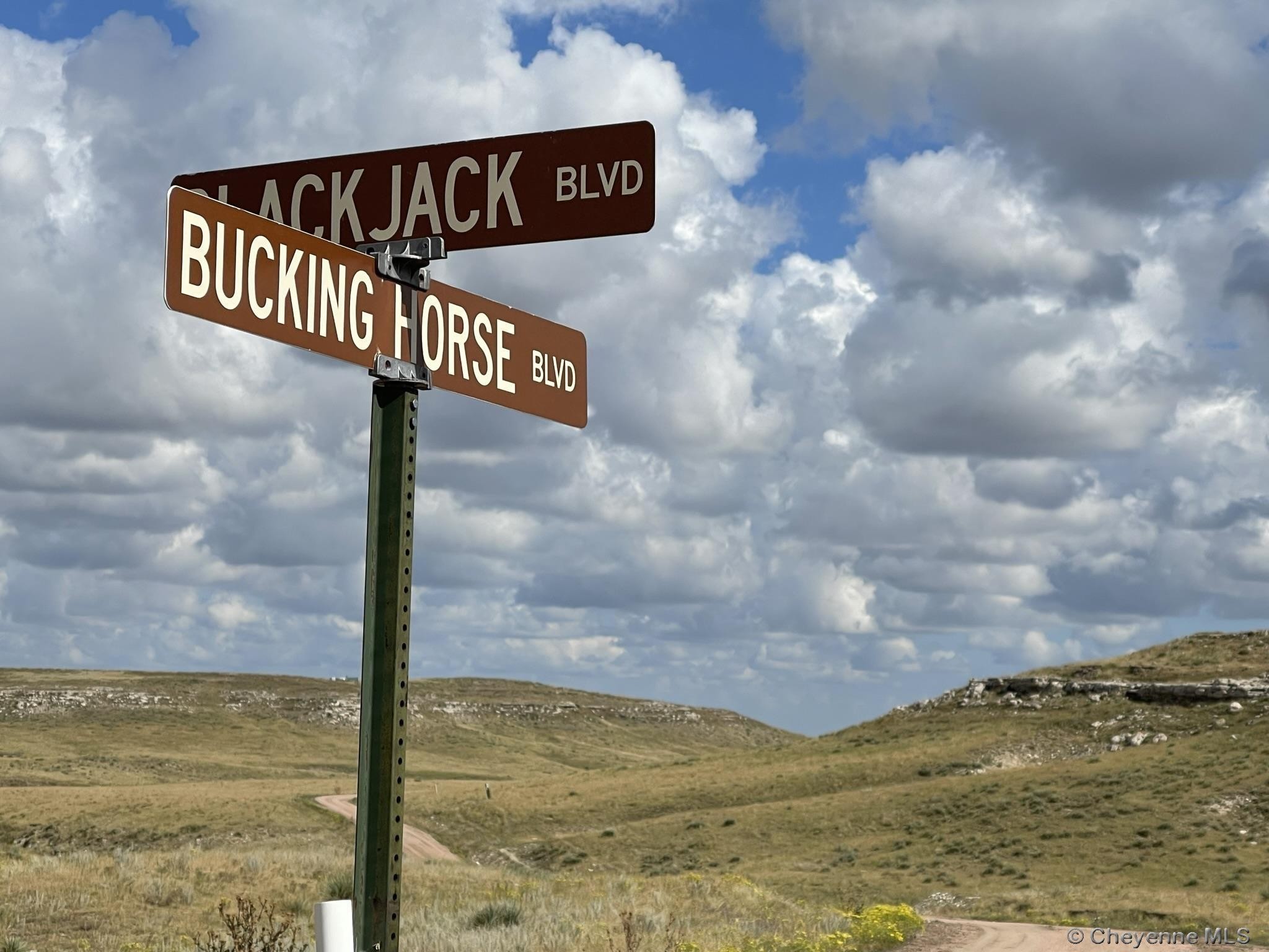 34. Tract 114 Bucking Horse Blvd