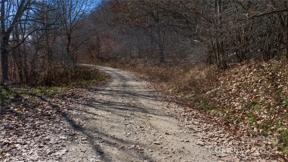 19. 197 Eagle Bald Trail