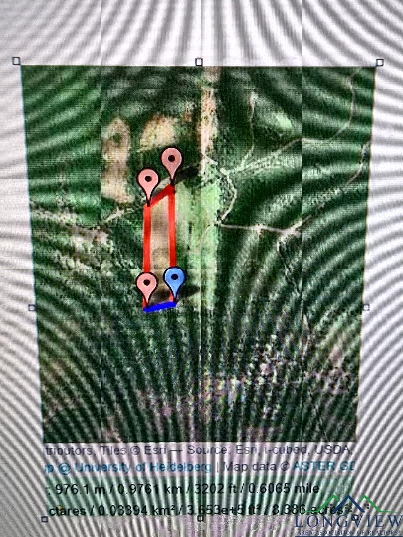 12. Tbd County Road 1762, Tract 5, 8.5 Acres