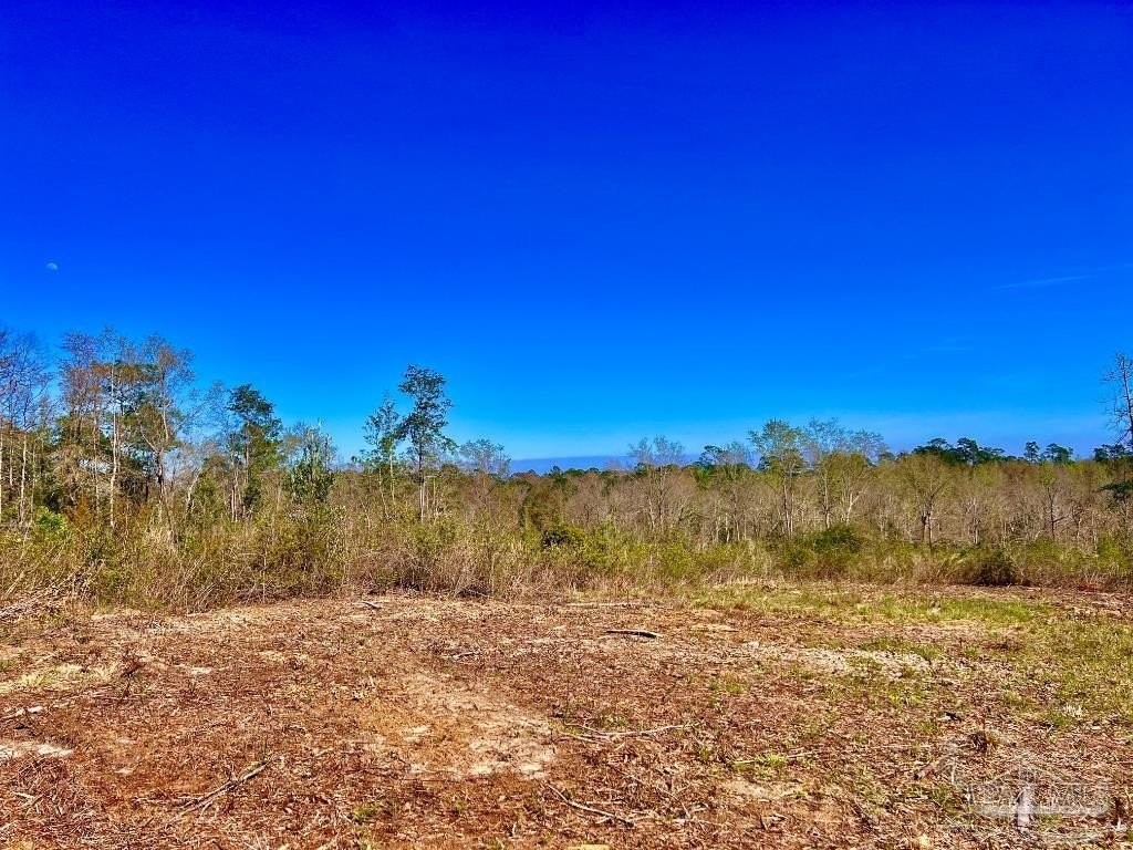 8. Lot 9-C Cotton Lake Rd