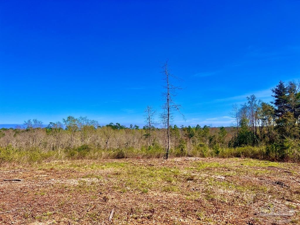 7. Lot 9-C Cotton Lake Rd