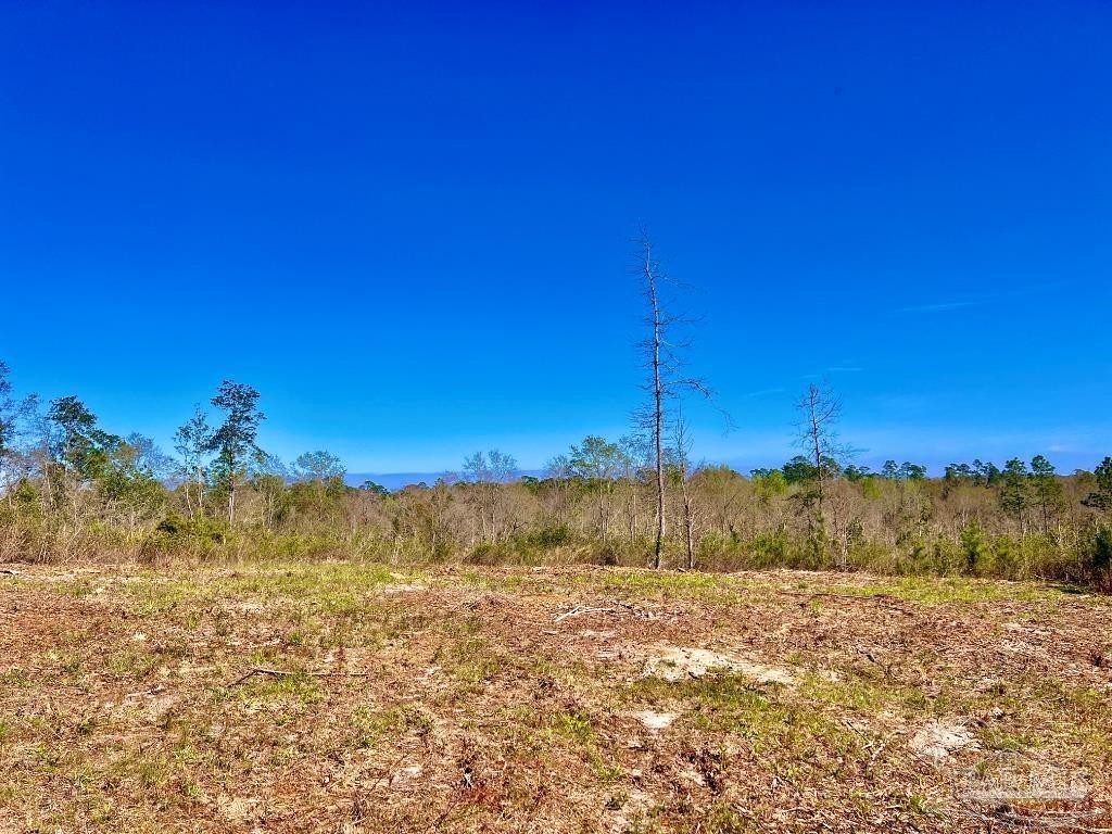 5. Lot 9-C Cotton Lake Rd