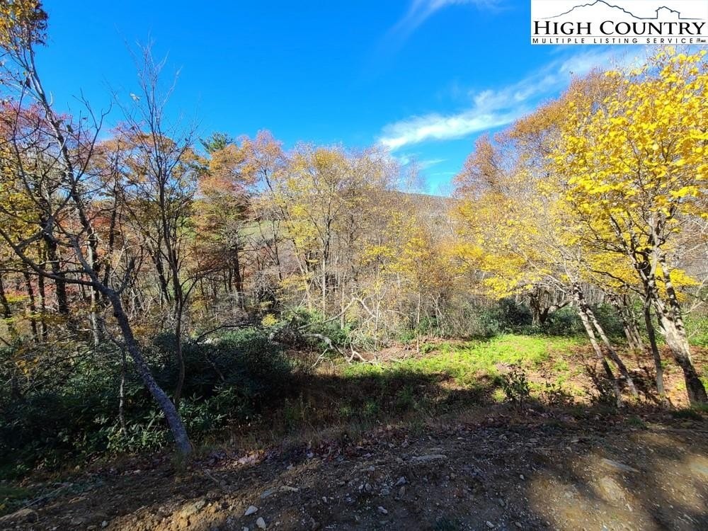 1. Lot 220 Stack Rock Trail