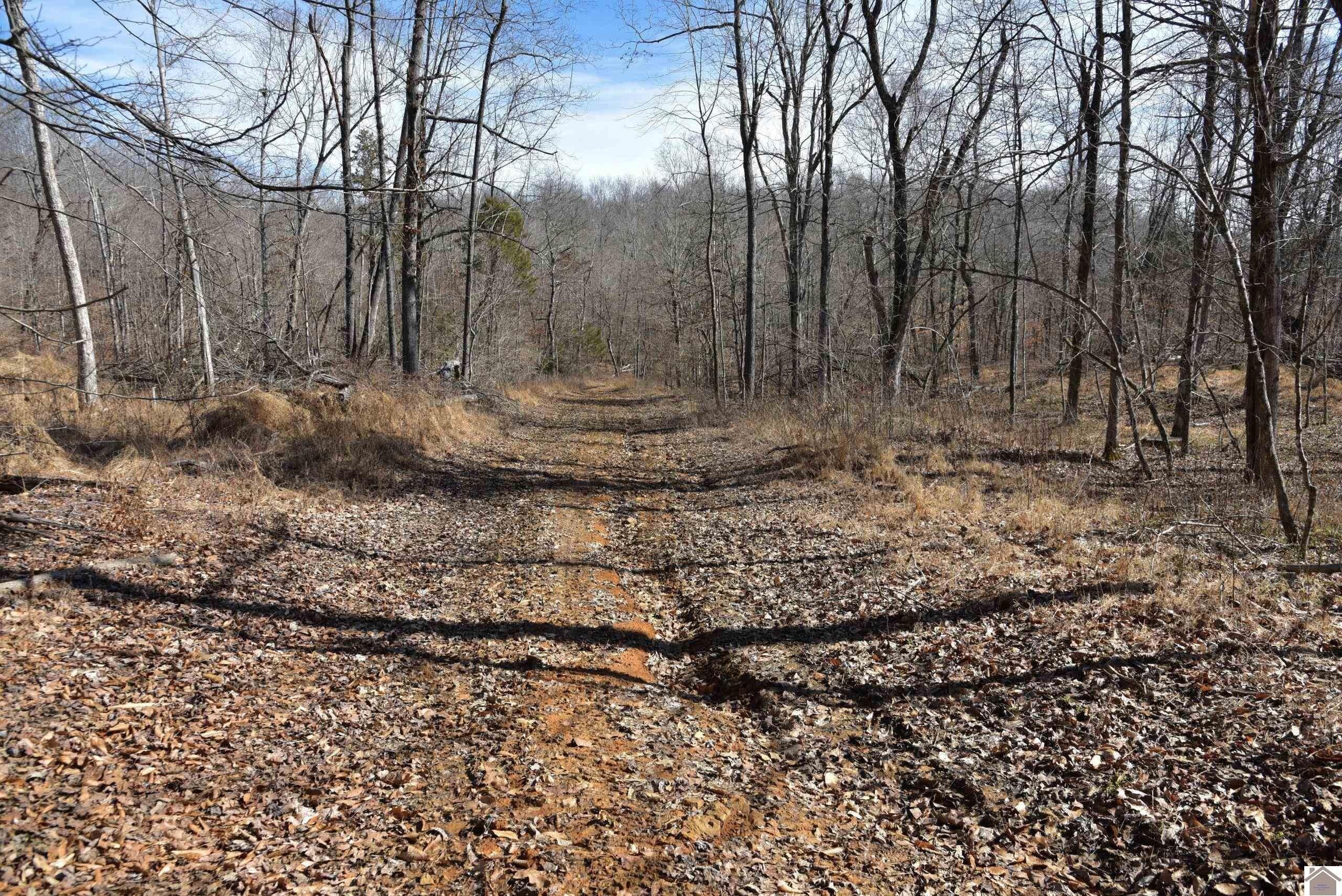 8. 000 Travis Cemetery Road