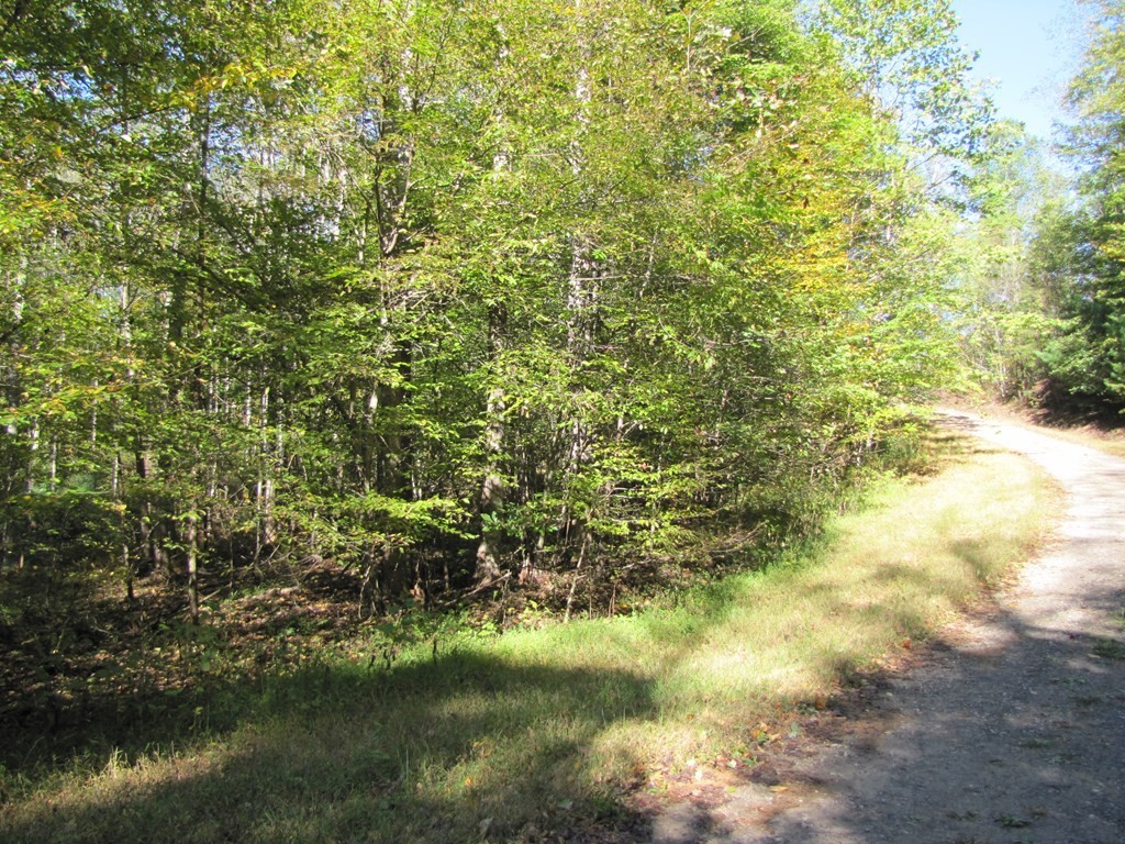 2. Lot 42 Melmark Acres Trail