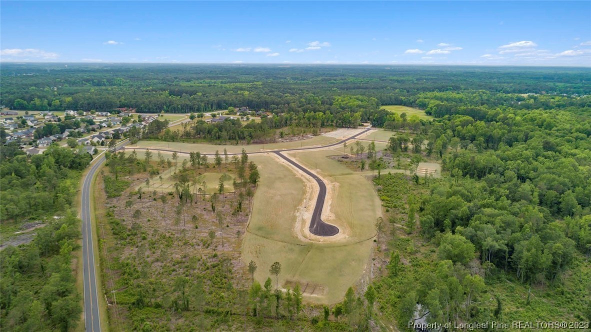 8. Lot 31 Timber Falls Drive