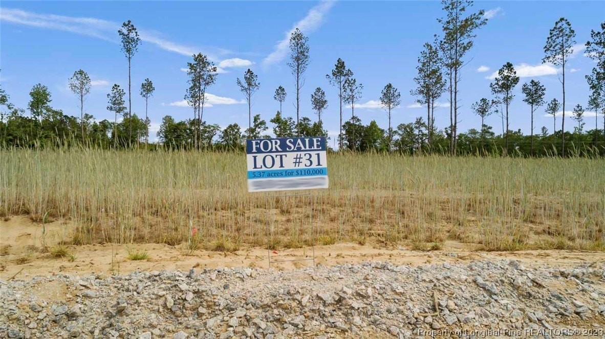 2. Lot 31 Timber Falls Drive