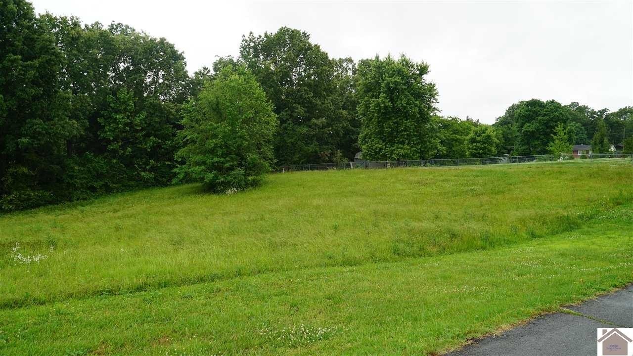 1. Lot 40 Cox Creek Drive