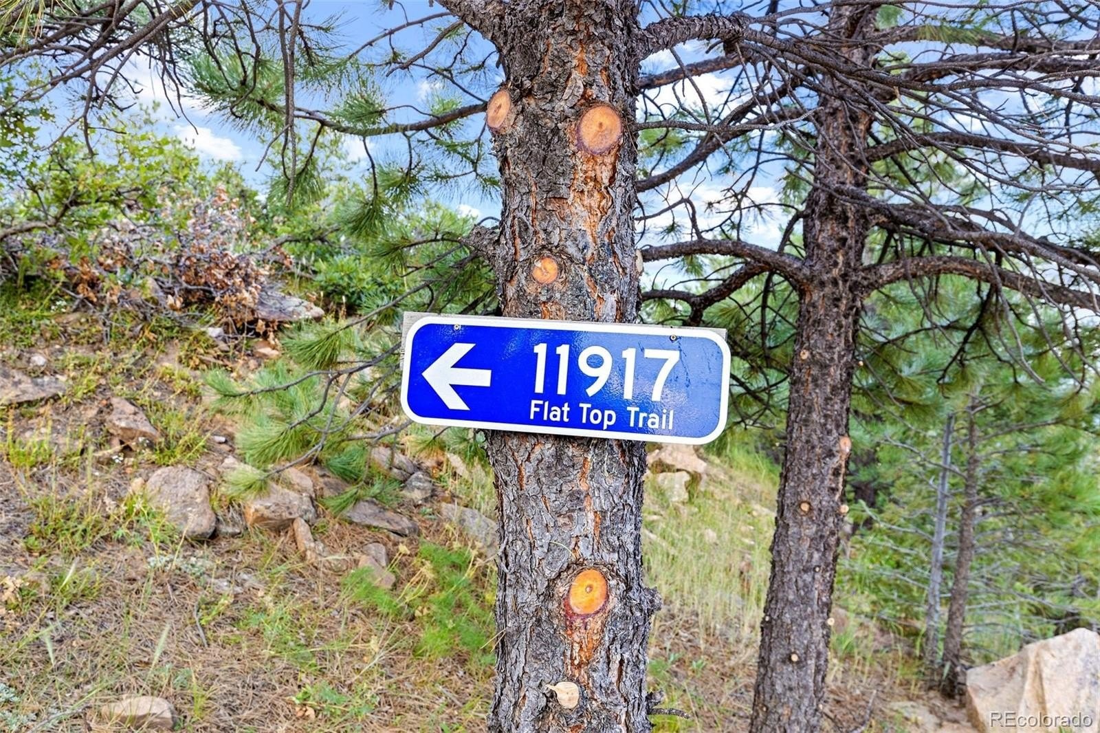 10. 11917 Flat Top Trail