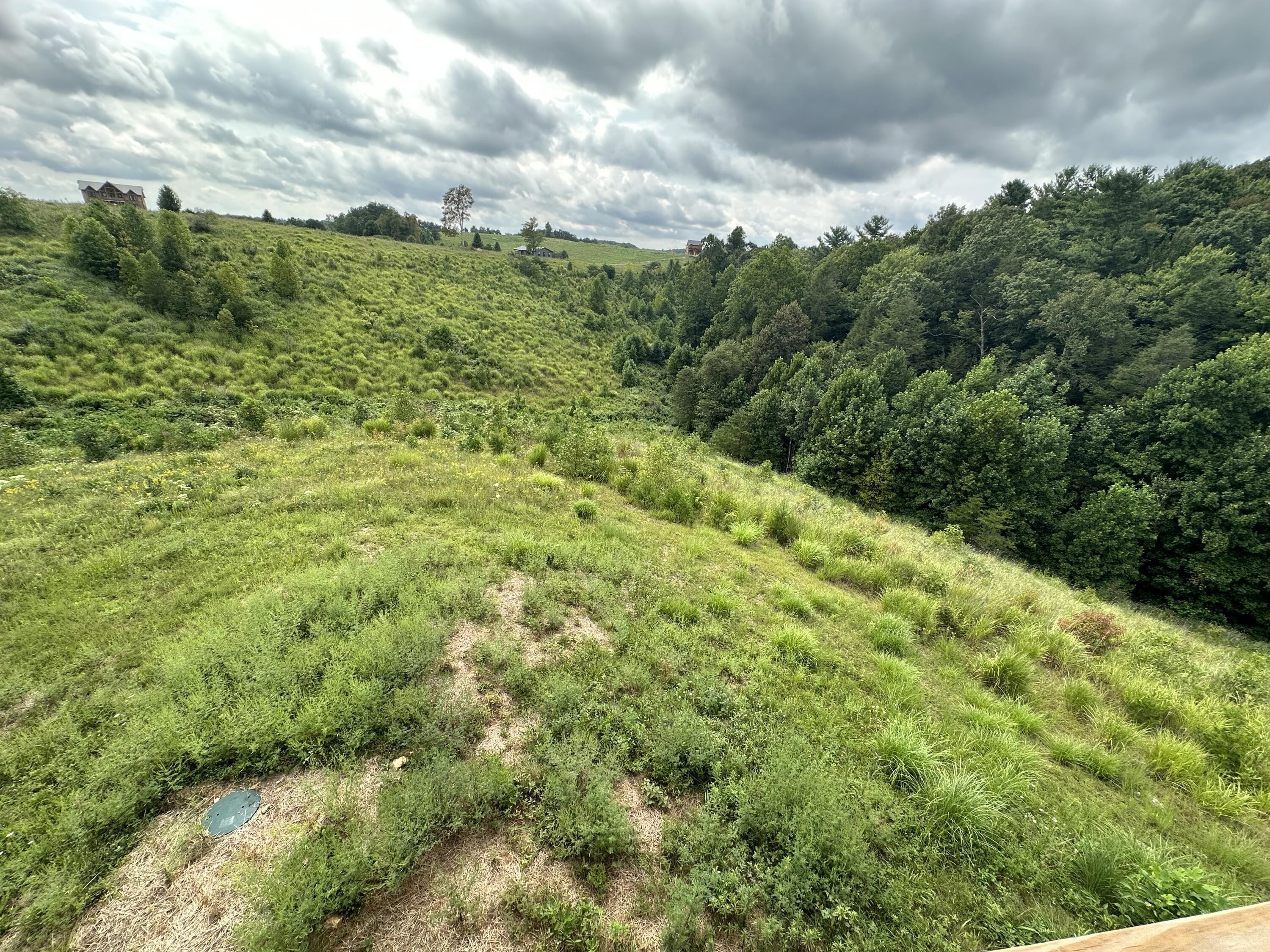 19. Lot 11 477 Wildcat Ridge Ln