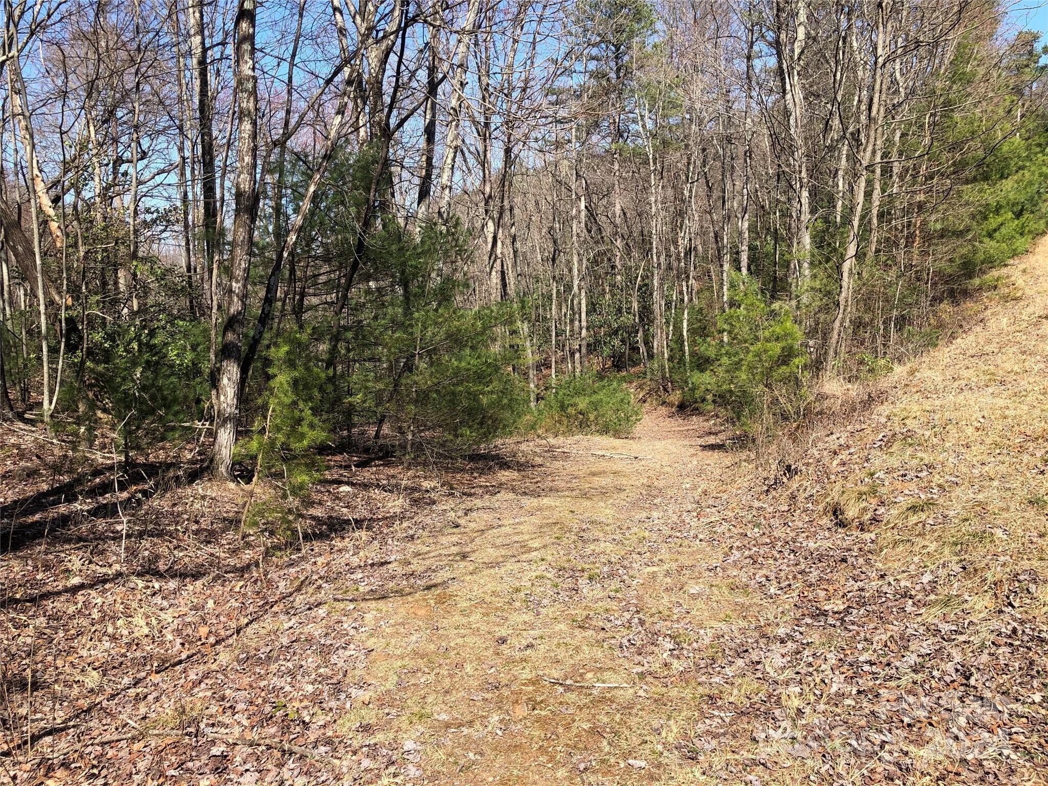 15. Tbd Carriage House Trail