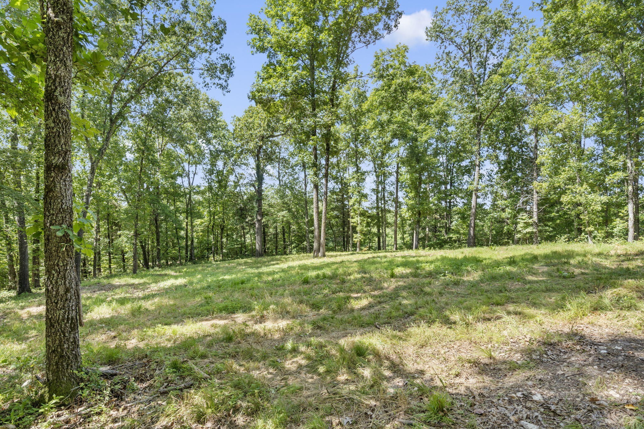 1. Lot 19 Mccord Bend Road