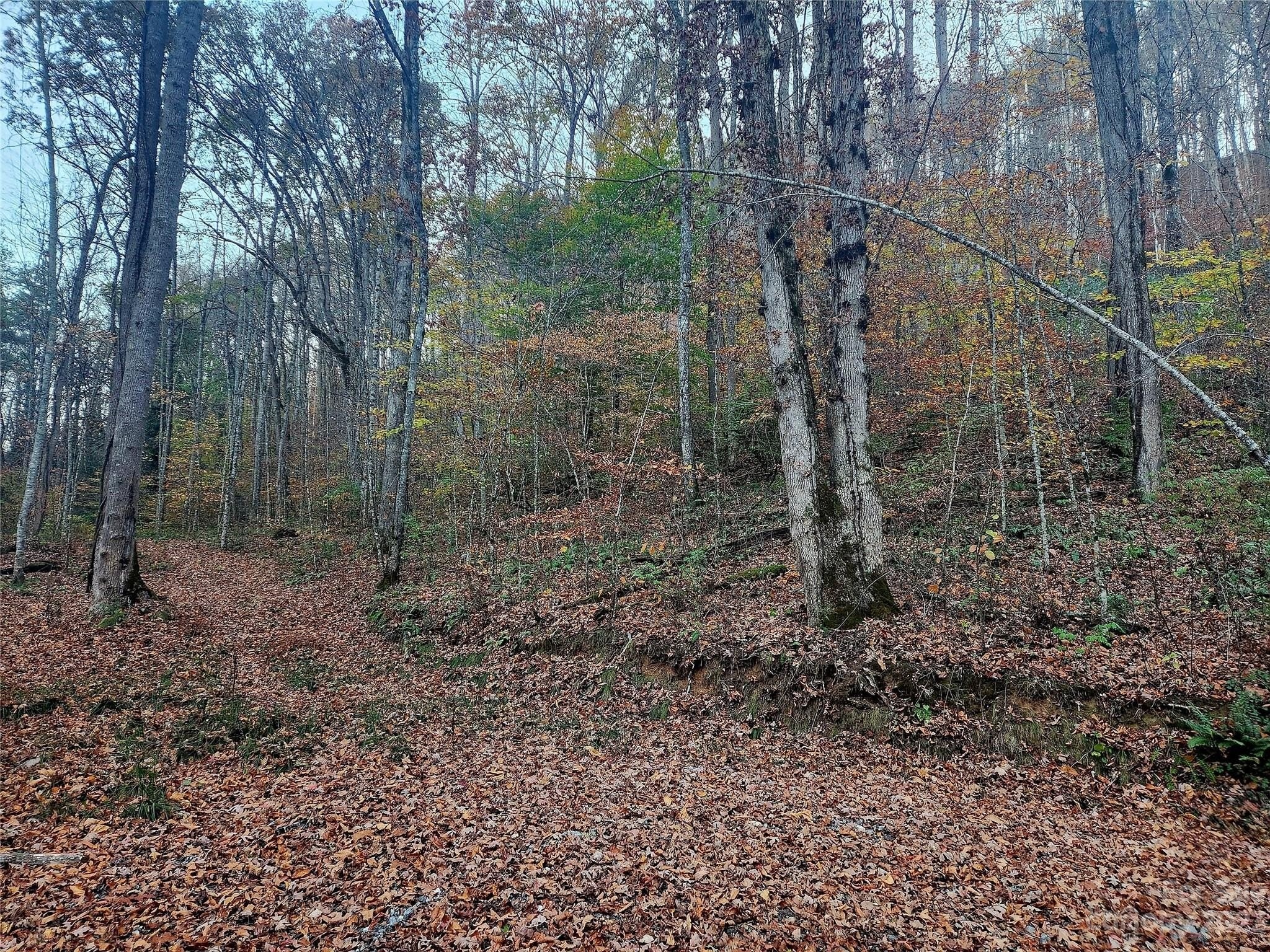 21. 000 Cullowhee Mountain Road