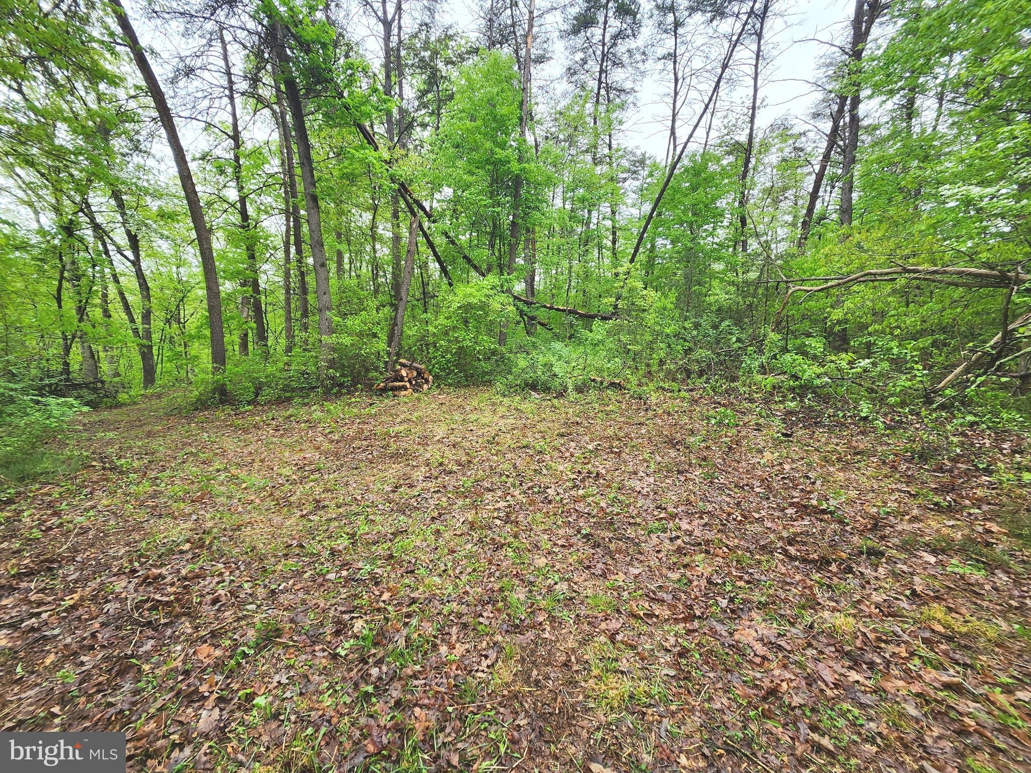 29. 16.5 Ac Mountain Heritage Estates Rd