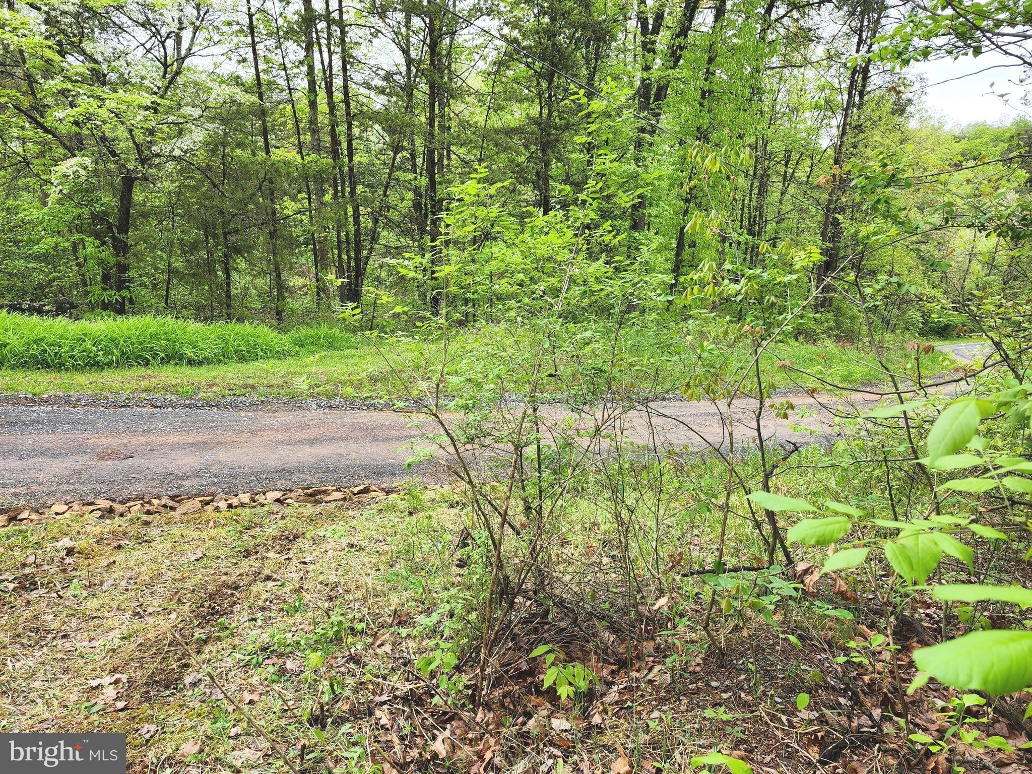 26. 16.5 Ac Mountain Heritage Estates Rd