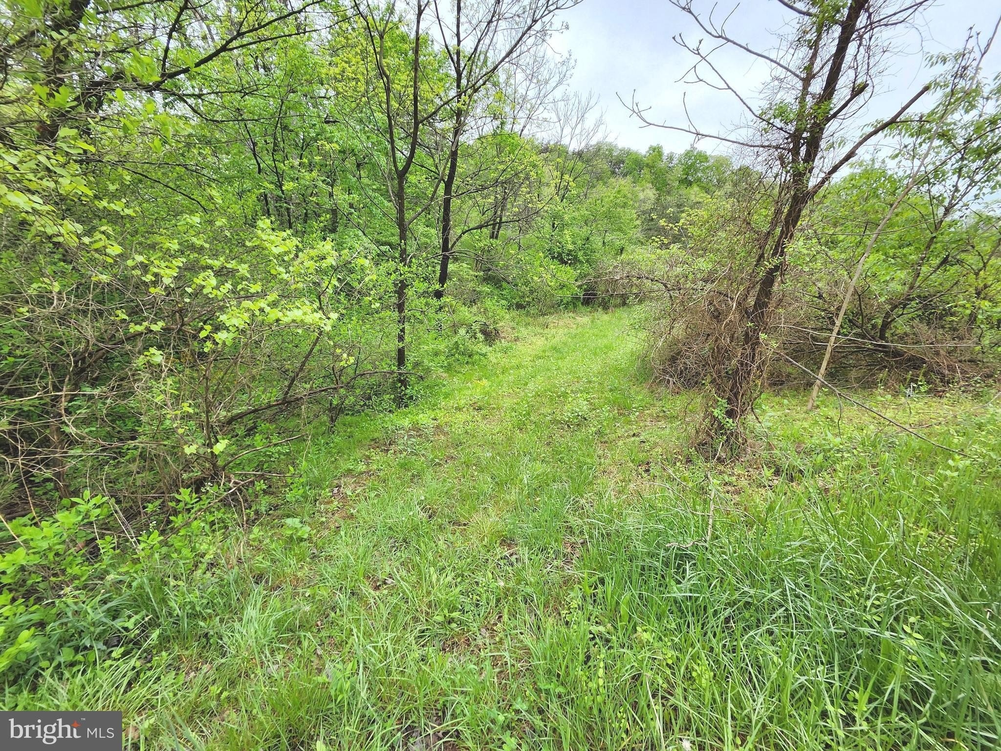 16. 16.5 Ac Mountain Heritage Estates Rd