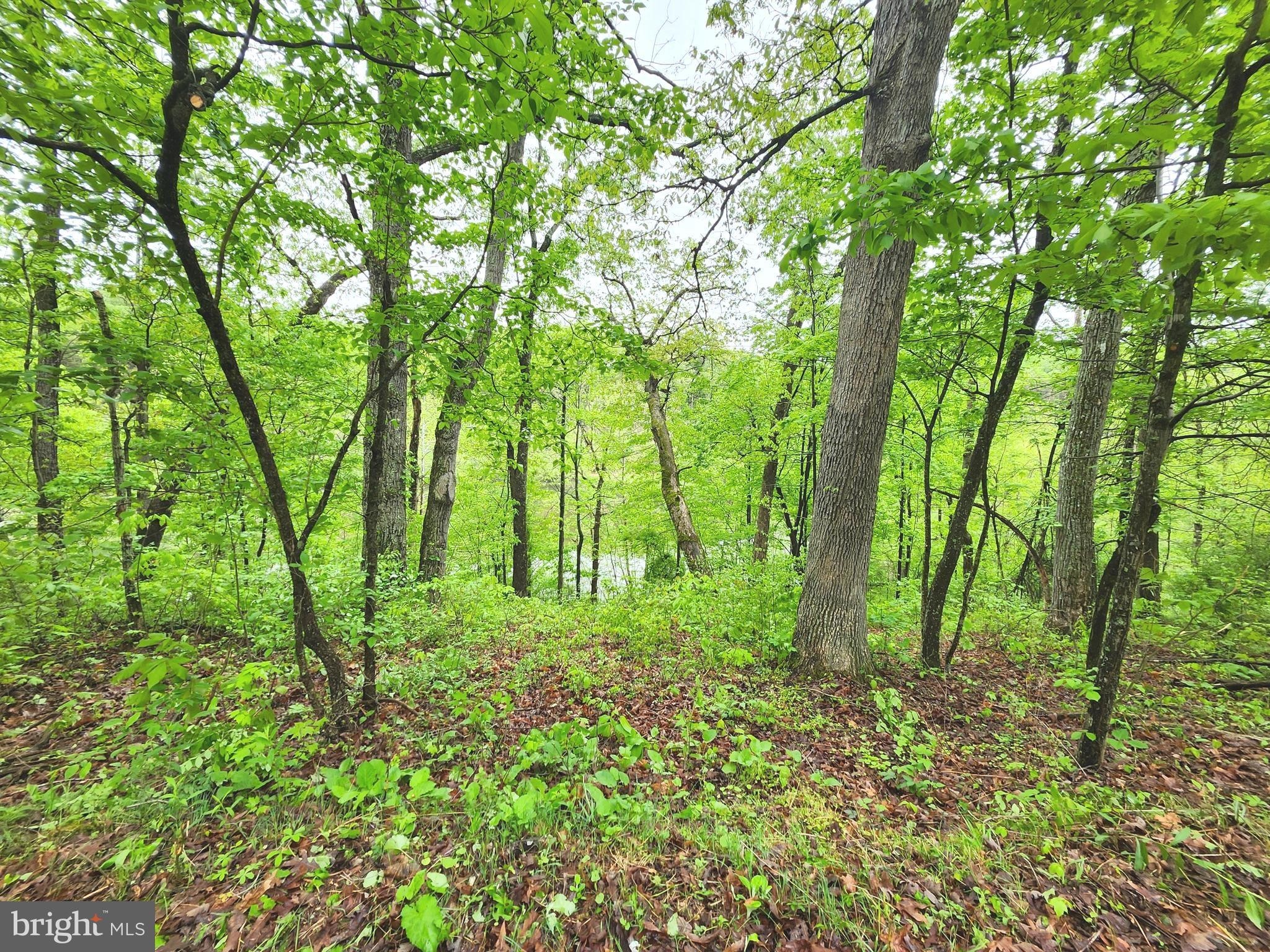 36. 16.5 Ac Mountain Heritage Estates Rd