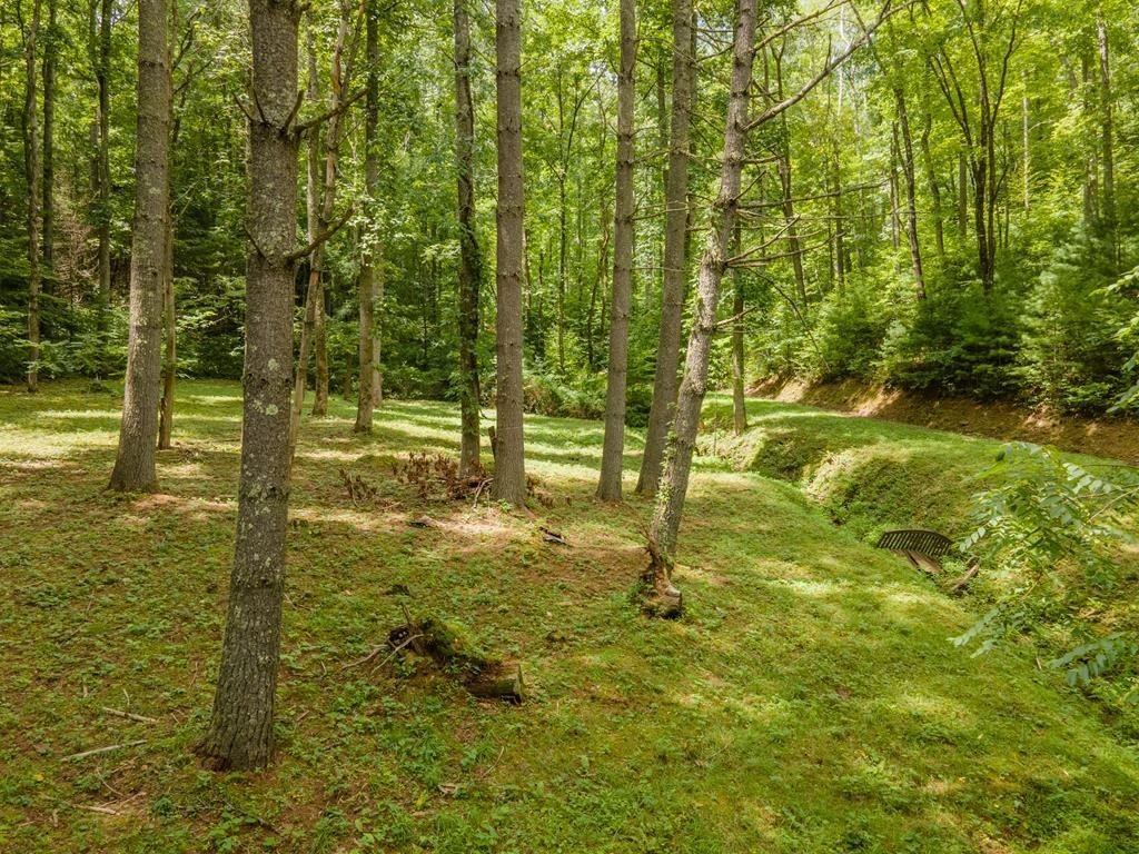 2. Mountain Forest Estate