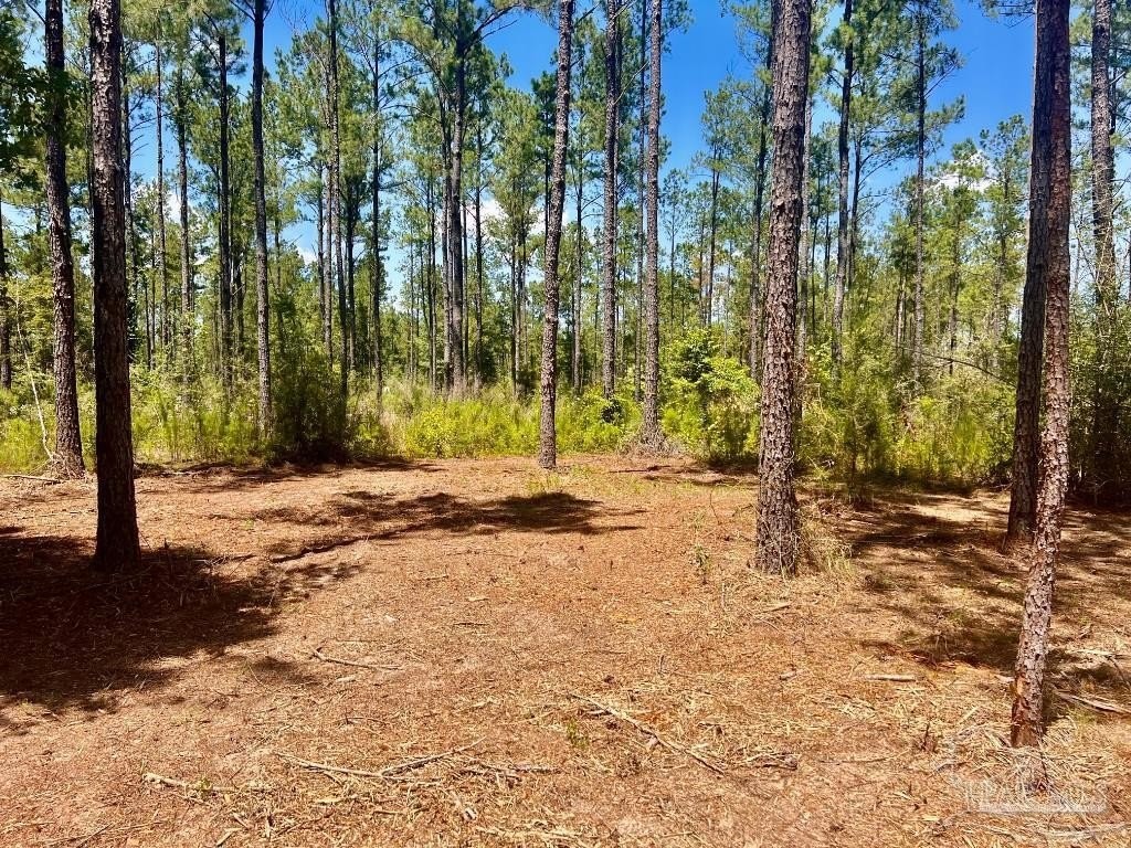 4. Lot 35 Nature Walk Rd