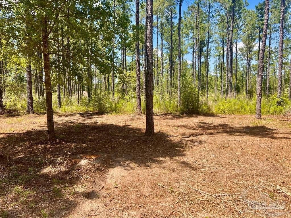 5. Lot 35 Nature Walk Rd