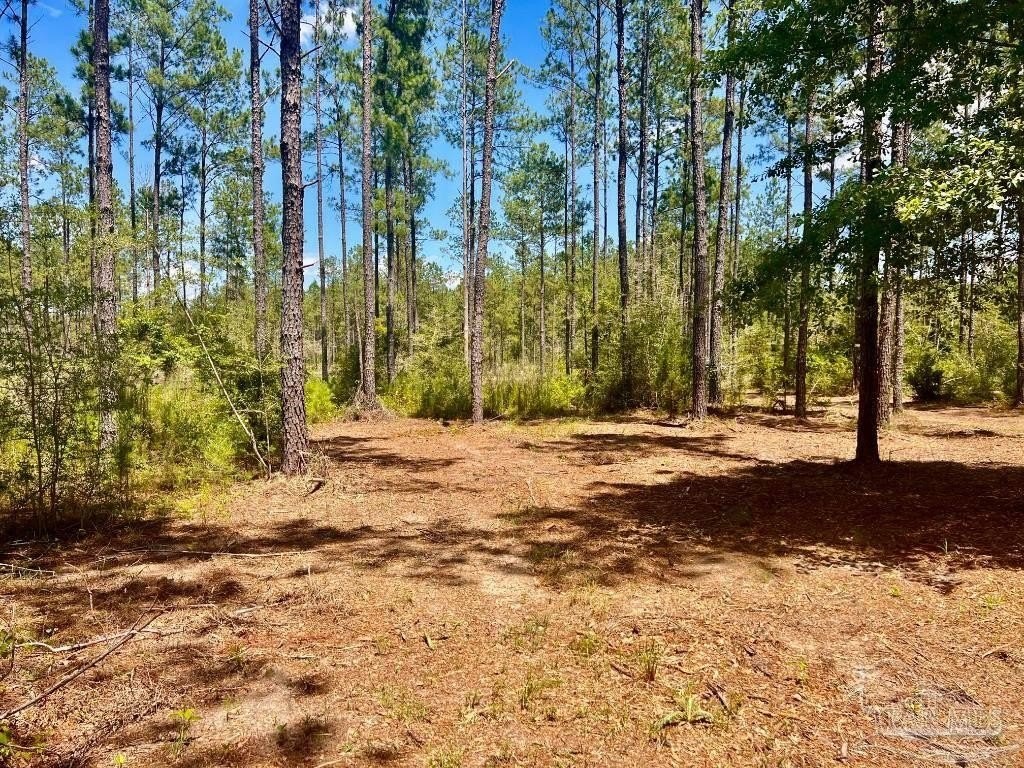 11. Lot 35 Nature Walk Rd