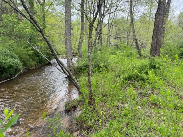 9. 3.92acre Double Creek Drive