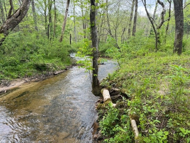 10. 3.92acre Double Creek Drive