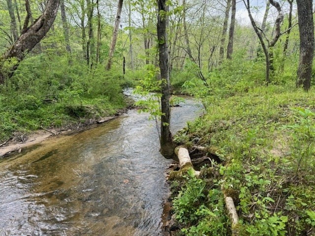 11. 3.92acre Double Creek Drive