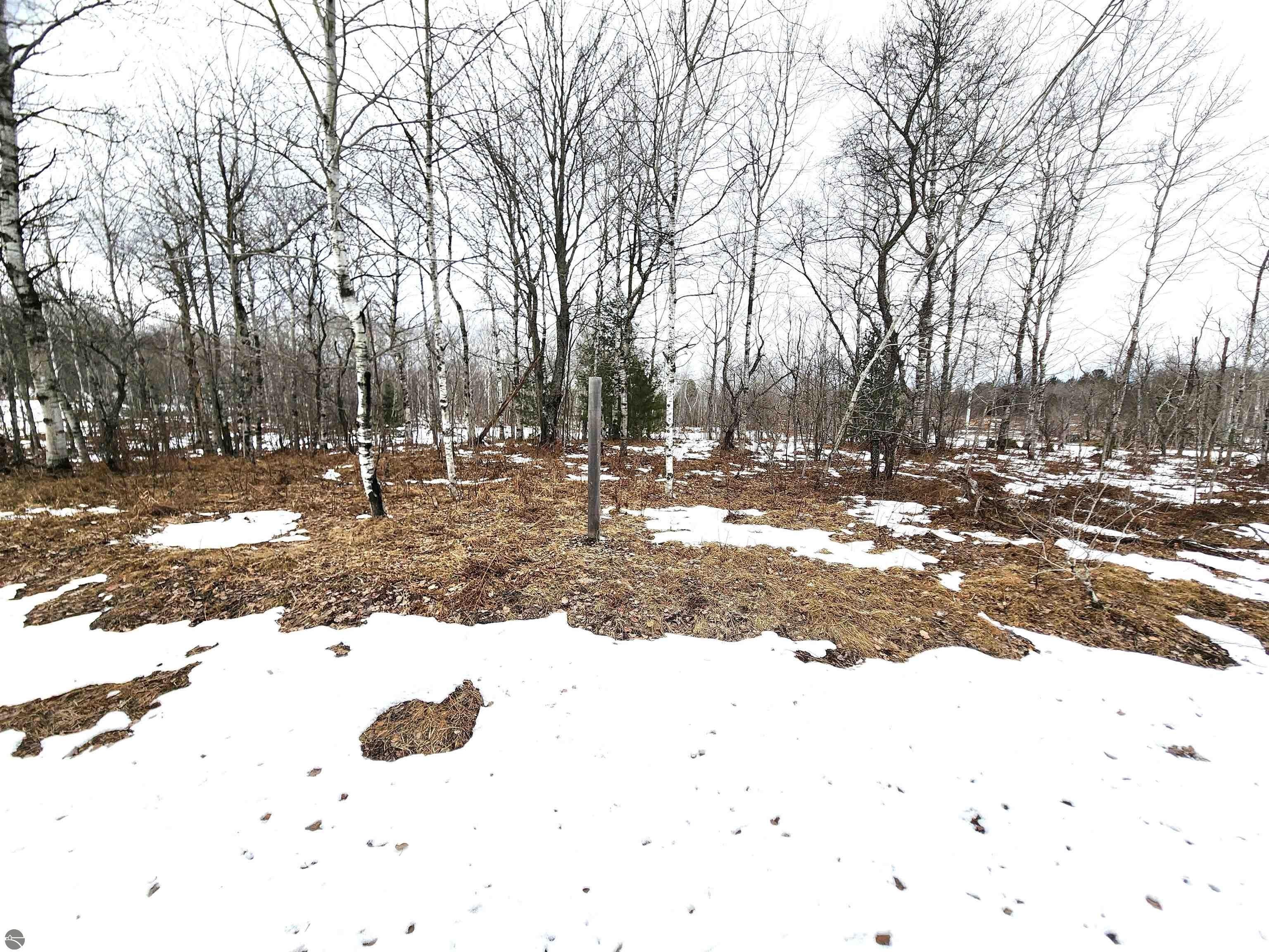 1. Lot 490 Manistee Heights Drive