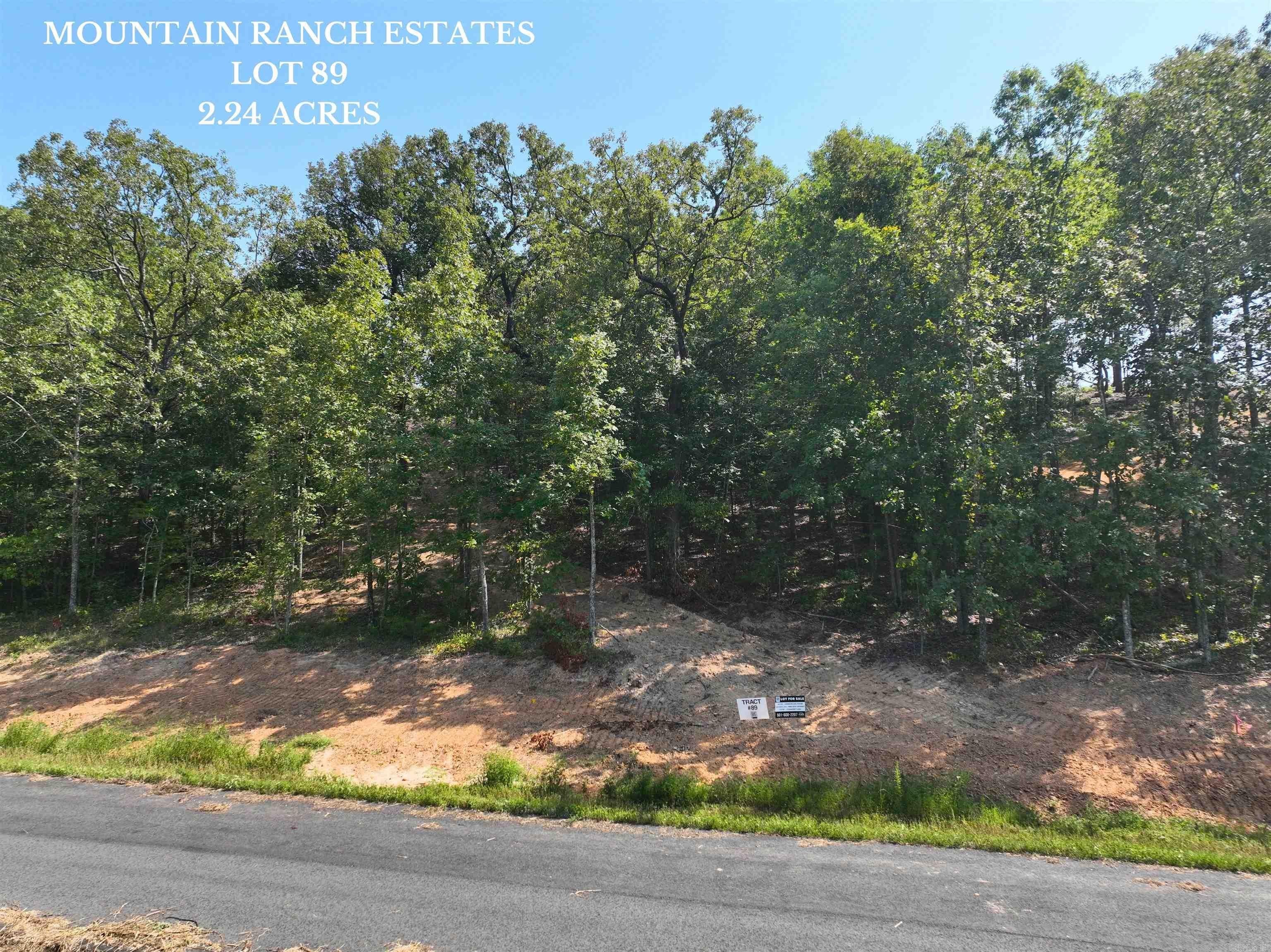 1. Lot 89 Mountain Ranch Estates