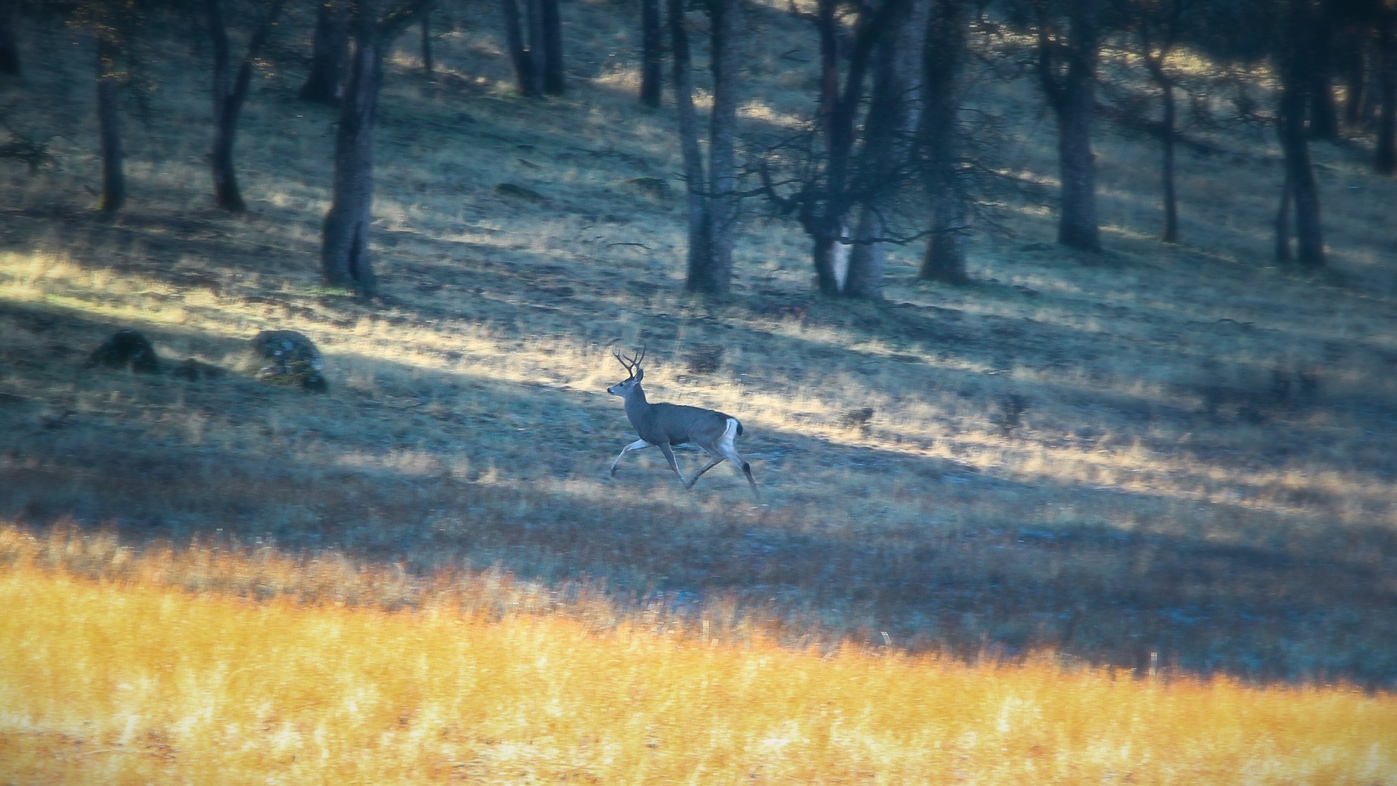 24. Tbd Marshes Flat Road Ca-49