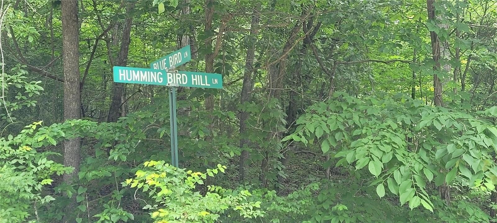 4. 0 Hummingbird Road