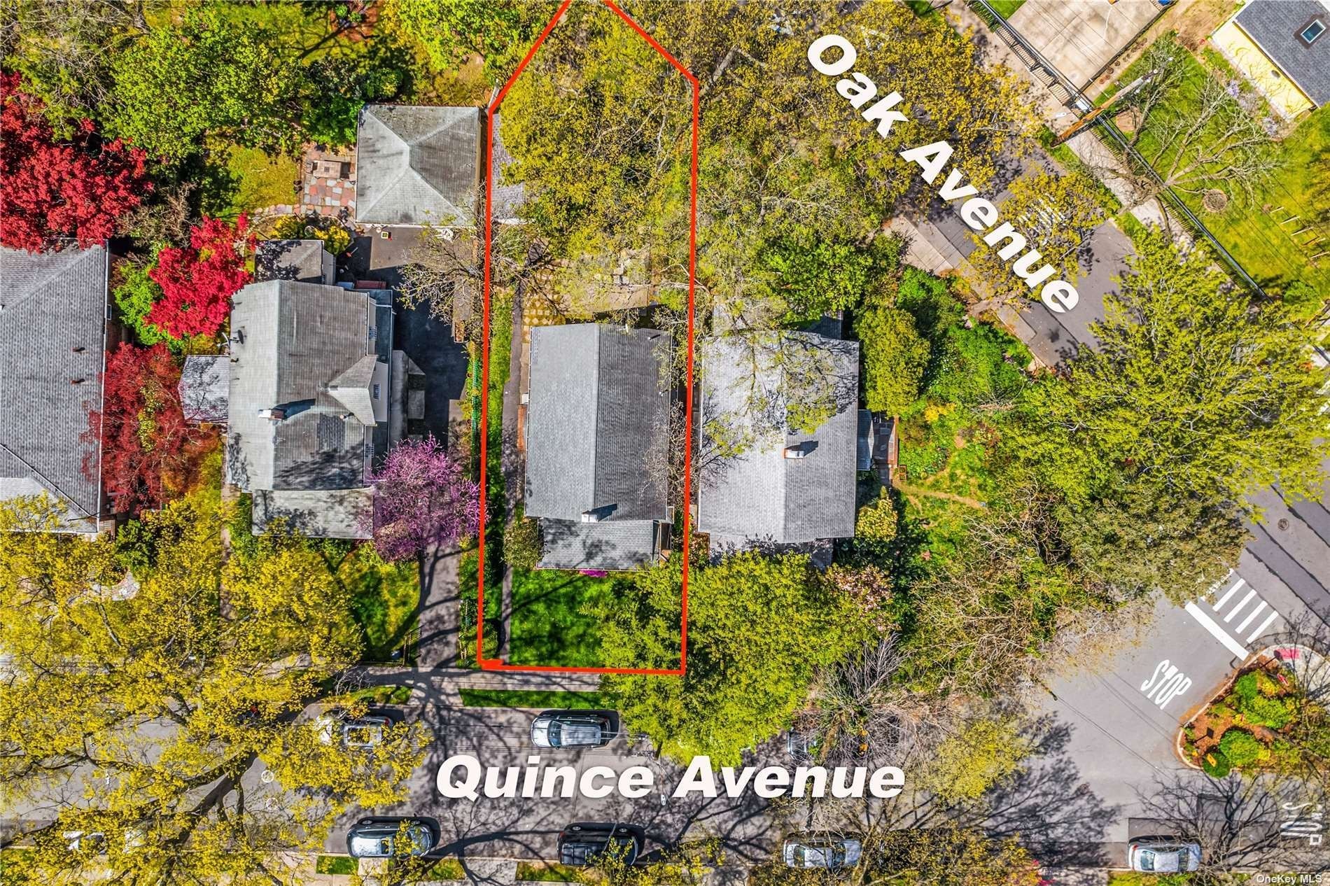 9. 157-31 Quince Avenue