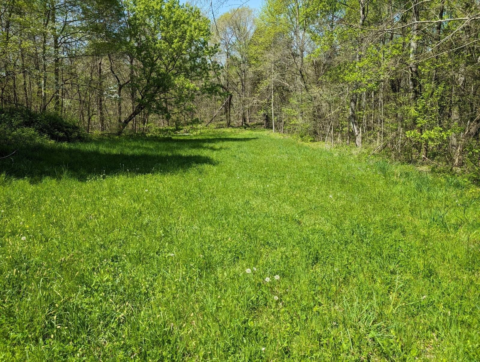 7. 50 Ac Celina Road