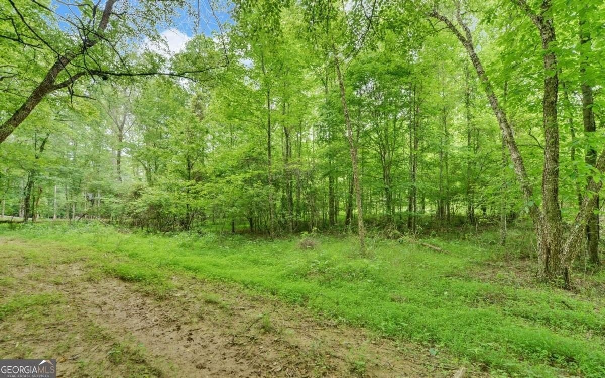 9. Lot 2 Hogback Drive