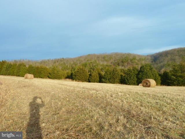 4. Starry Fields Lane